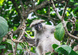 Safari z Wielką Piątką i wypoczynek na Zanzibarze