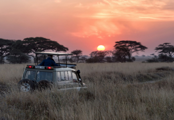 Safari w Parku Narodowym Tarangire