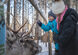 Laponia - wyjątkowe ferie na Kole Podbiegunowym