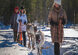 Laponia - wyjątkowe ferie na Kole Podbiegunowym