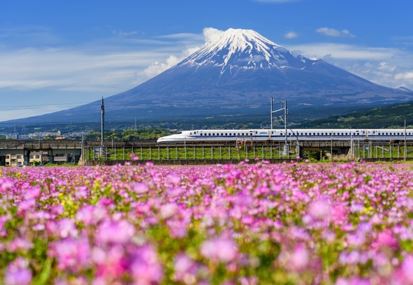 Mount Fuji Shimizu, Japonia