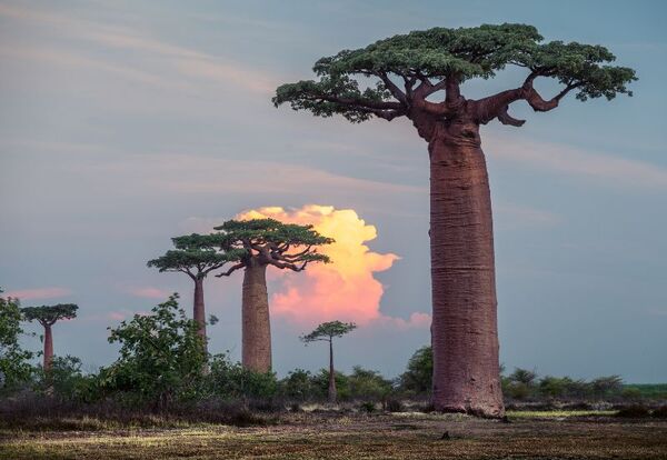 Madagaskar, Nosy Be