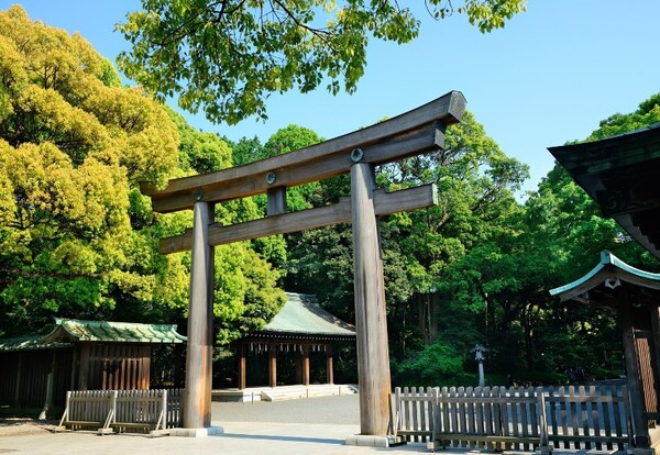 Kogoshima, Japonia 