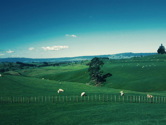 Rejs Australia i Nowa Zelandia – zachwycający duet