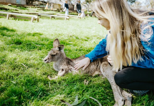 Hobart/Australia