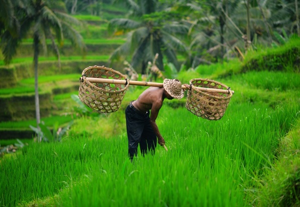 Bali, Indonezja