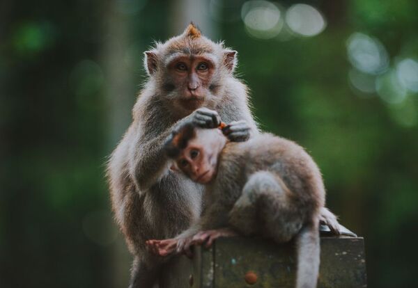 Bali, Indonezja