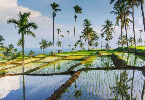 Lombok, Indonezja 