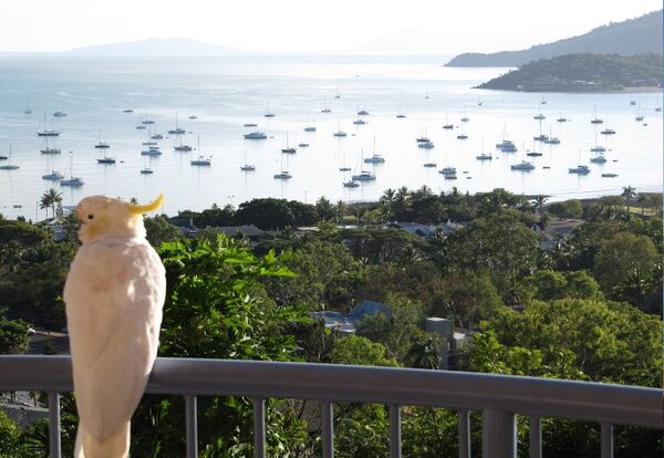 Airlie Beach, Australia