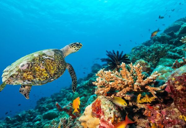 Cairns, Australia